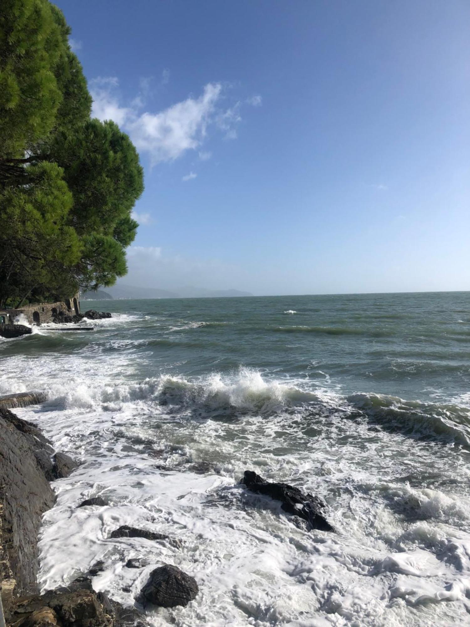 Apartment In Rapallo