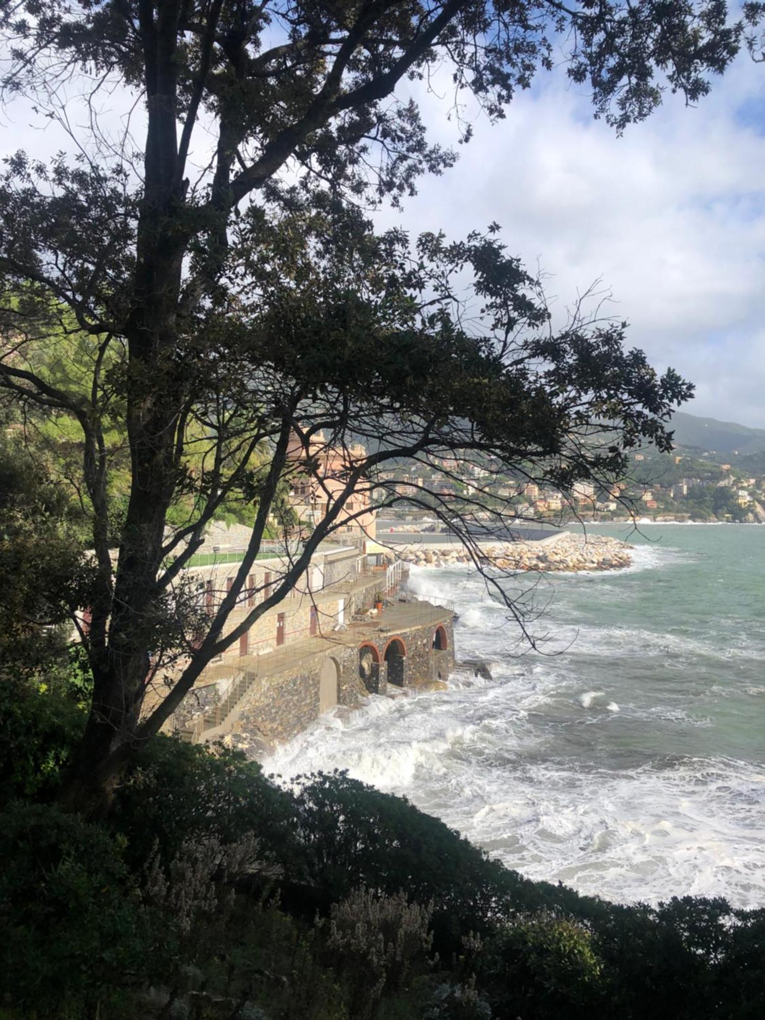 In Rapallo