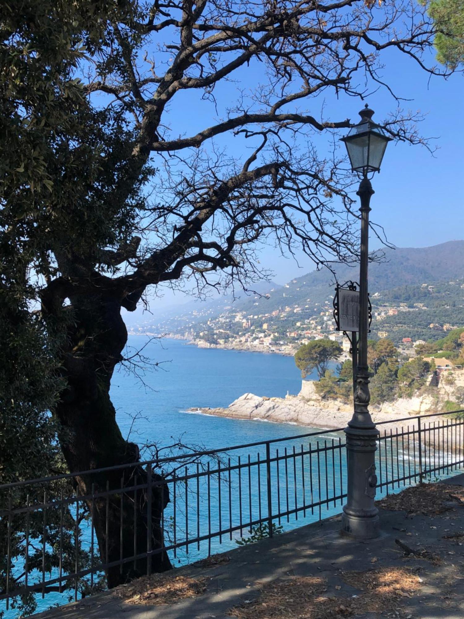 Apartment In Rapallo